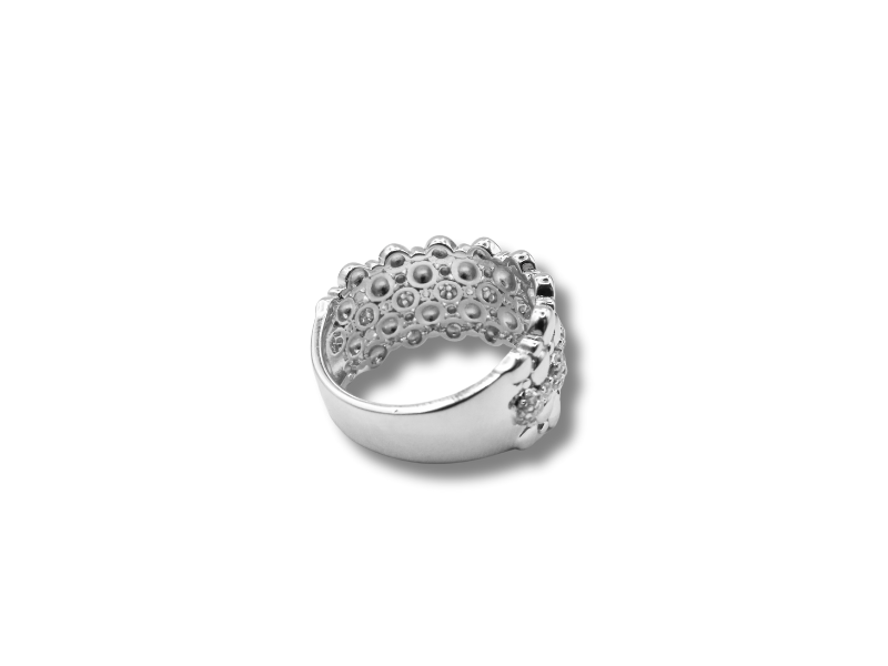Silberring