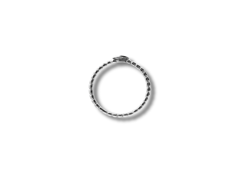 Silberring