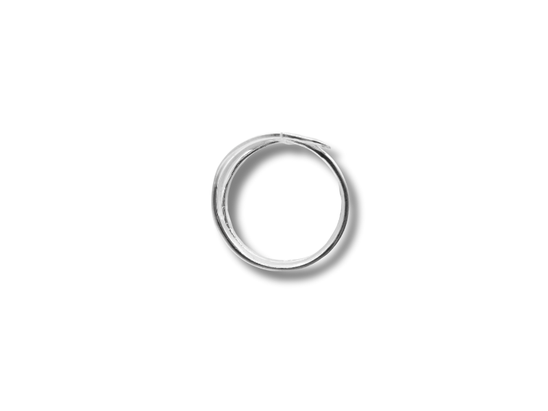 Silberring