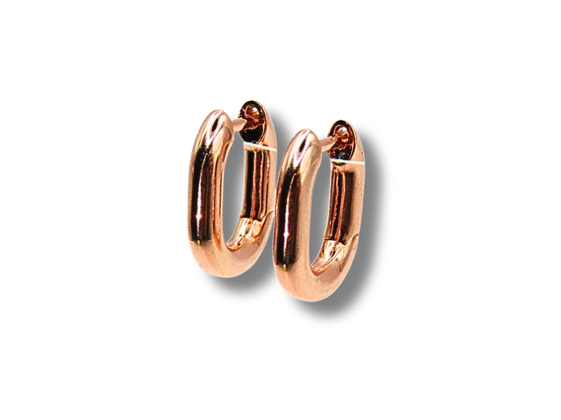 Rose Gold Earrings