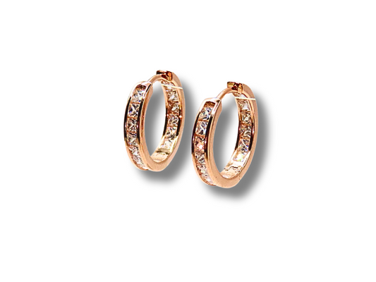 Rose Gold Earrings