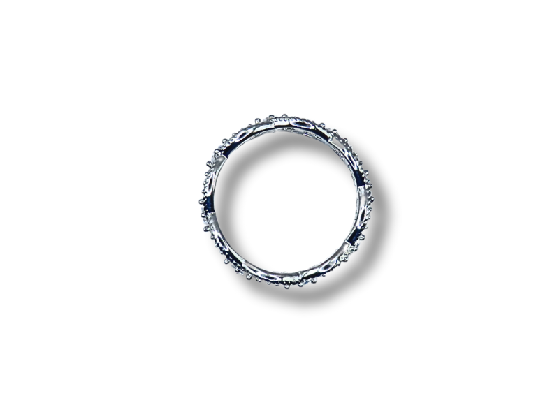 Silber Ring